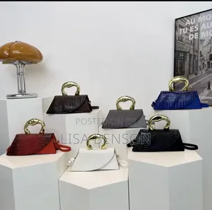 Luxury Ladies Handbag