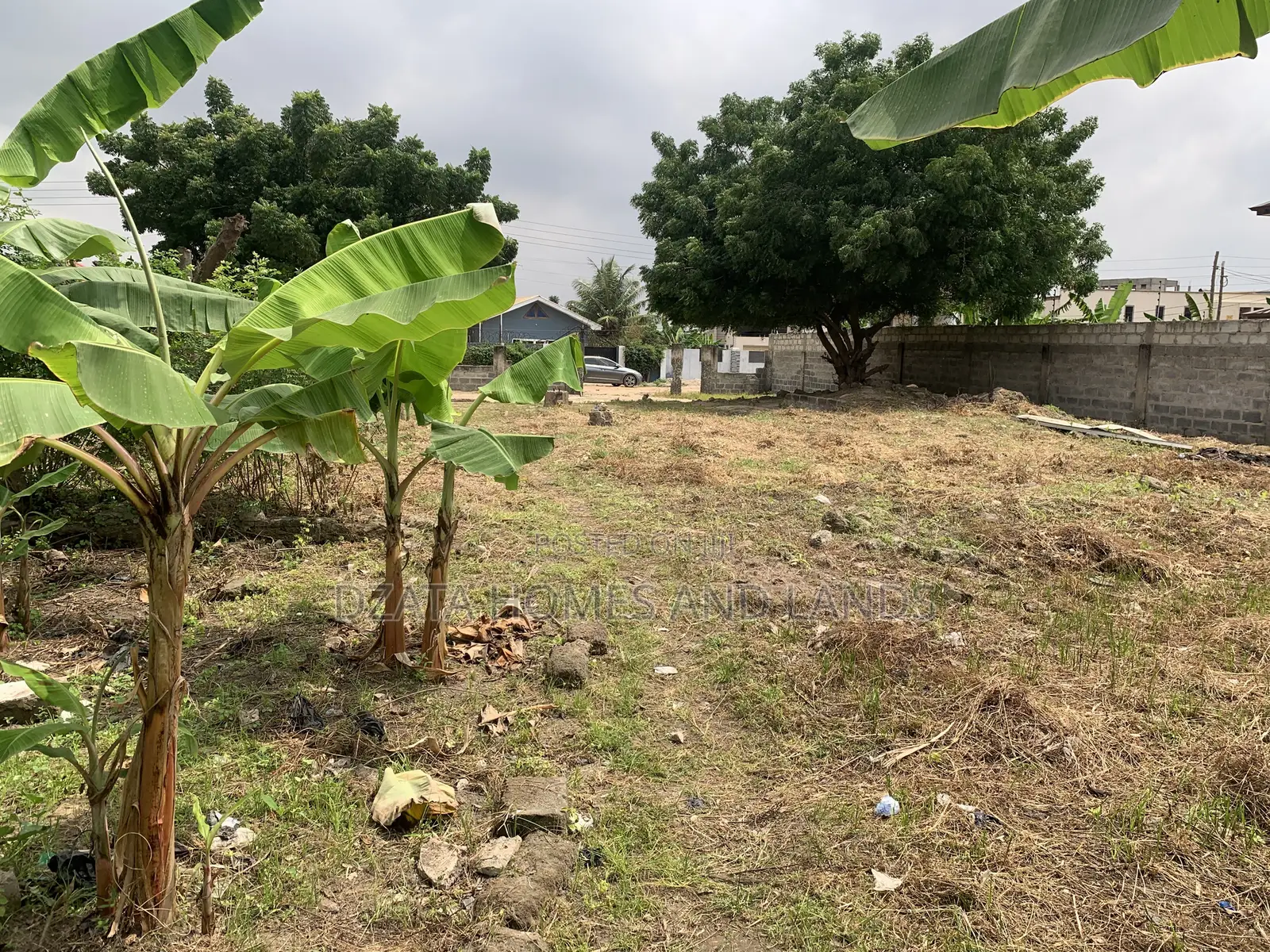 One and Half Plot , Size 80/160