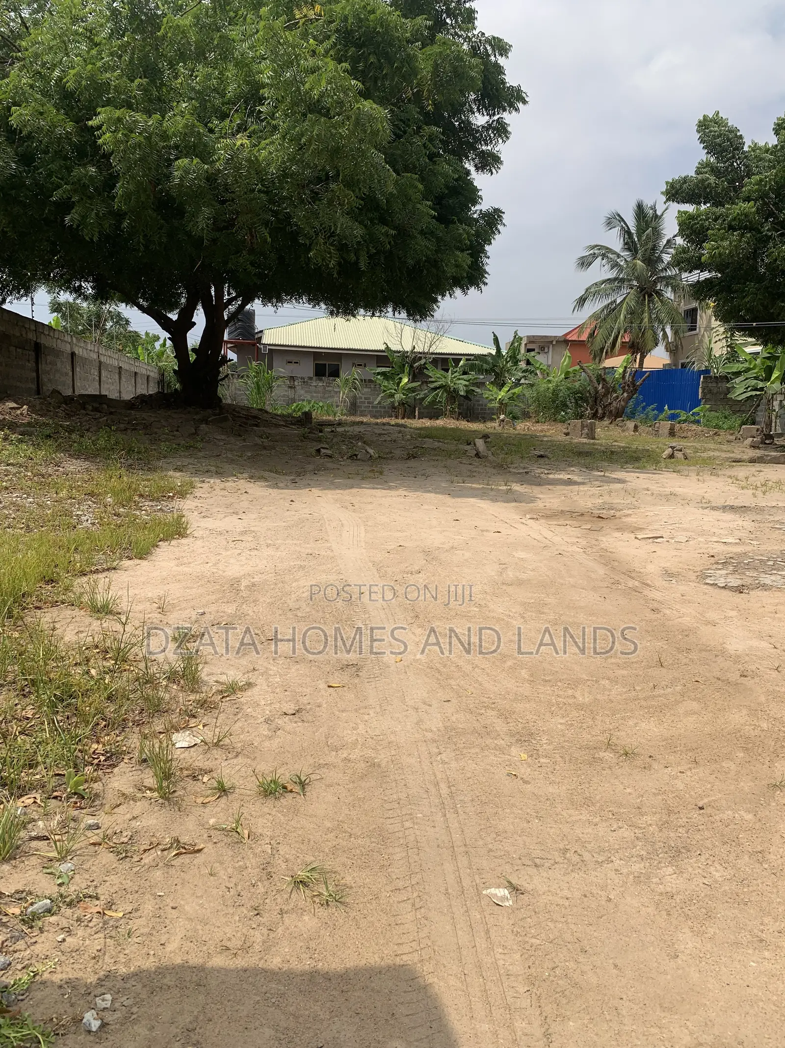 One and Half Plot , Size 80/160