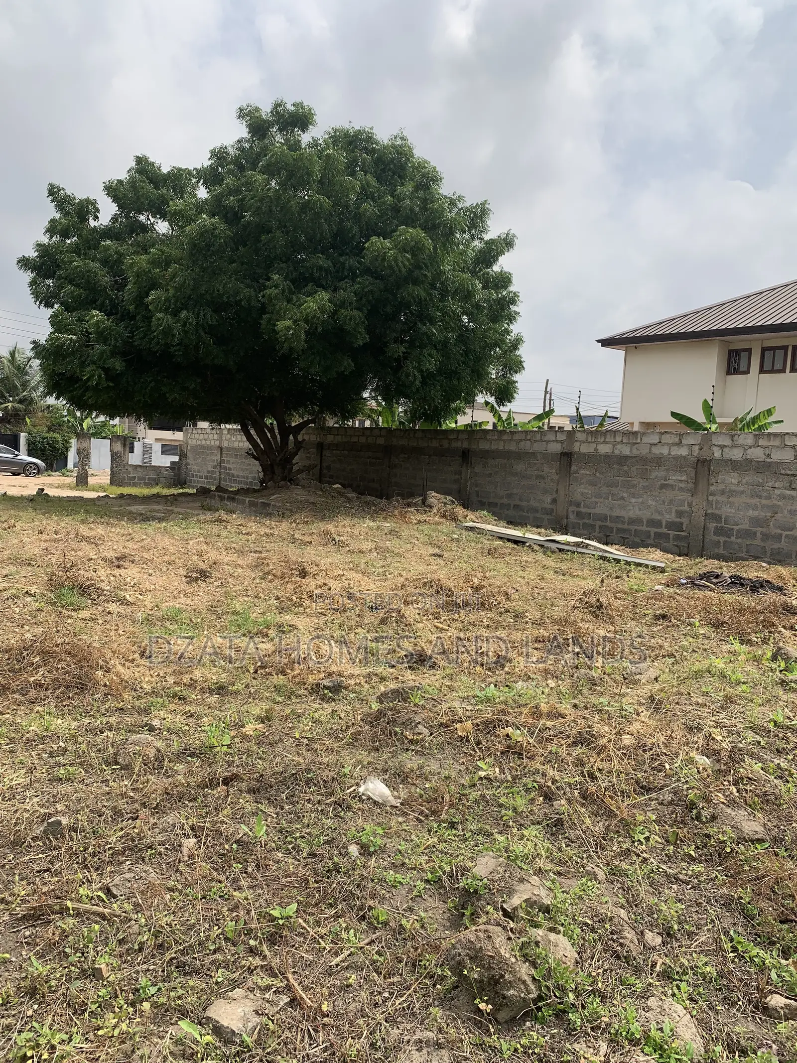 One and Half Plot , Size 80/160