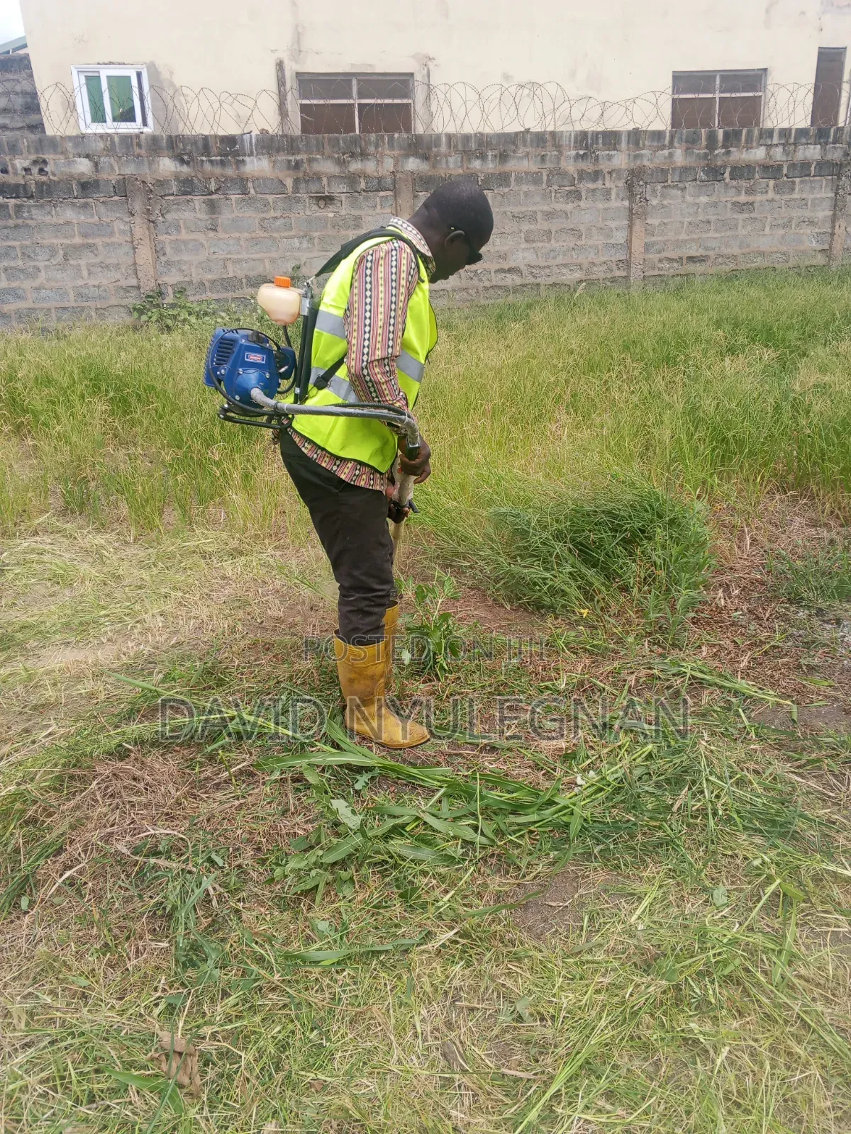 Grass and Farm Weeding