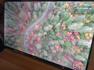 Smart Life 32" TCL Television QLED TV