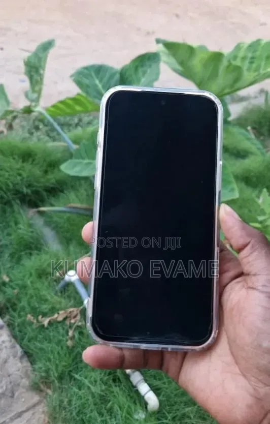 Apple iPhone 17 Pro Max 256 GB Gray