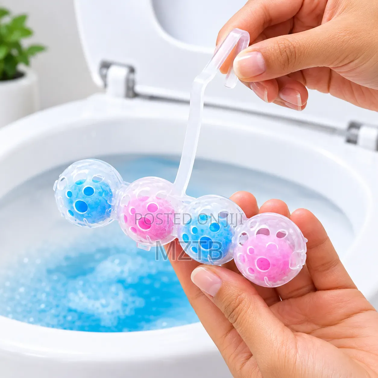 4-in-1 Automatic Toilet Cleaner