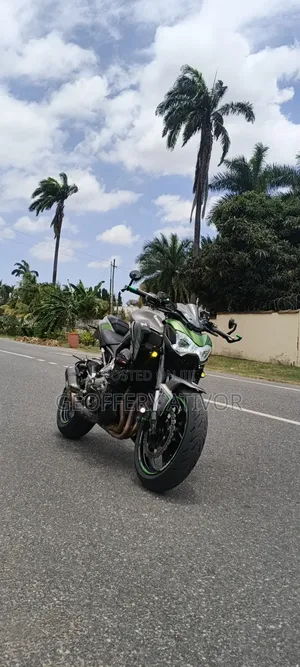 Kawasaki Z900 2019 Green
