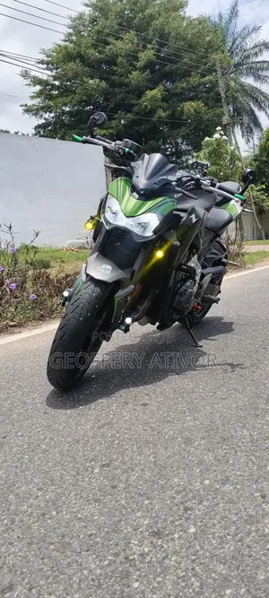 Kawasaki Z900 2019 Green