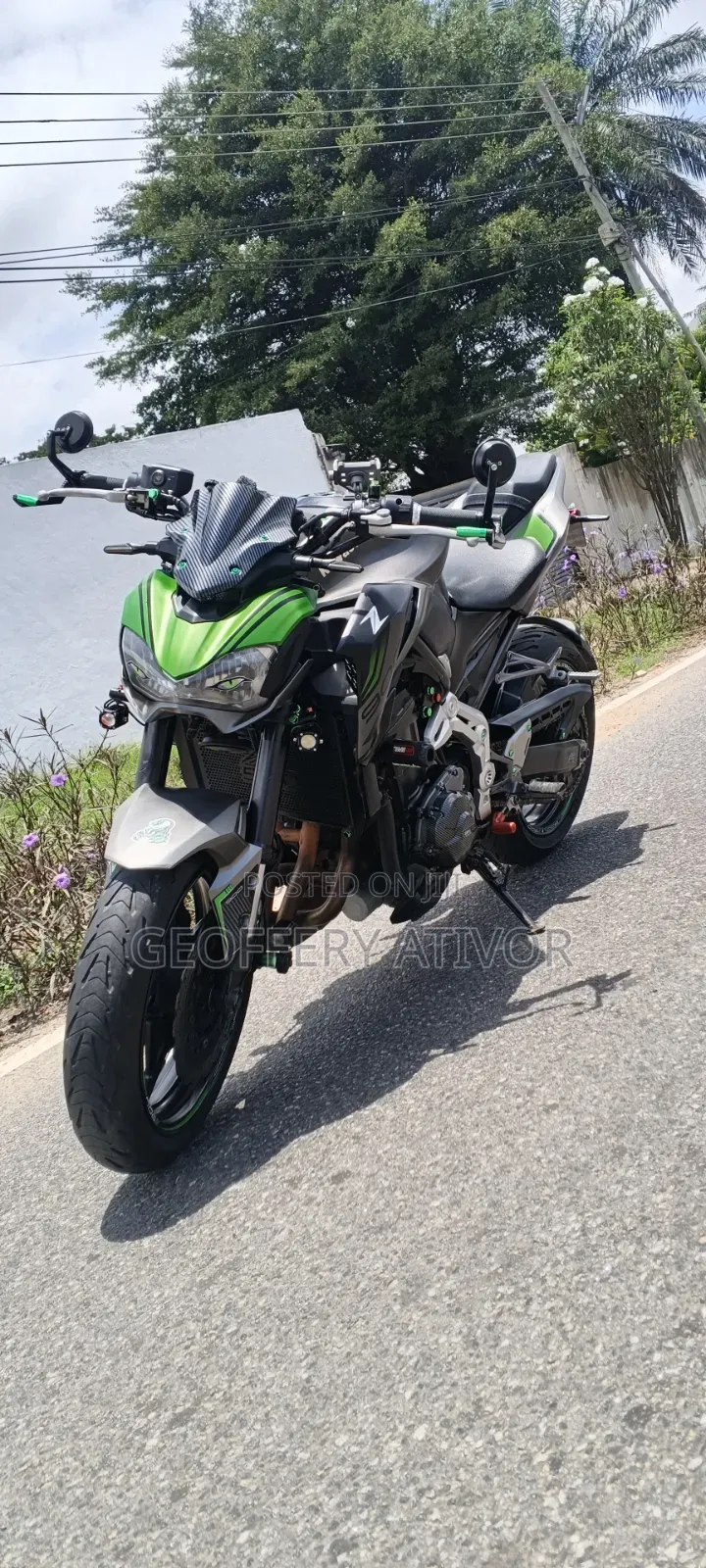 Kawasaki Z900 2019 Green