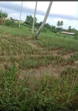 Full Plot of Land