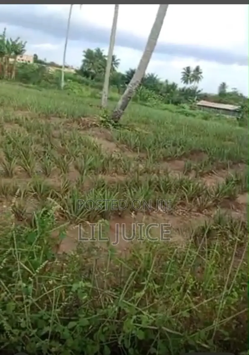 Full Plot of Land