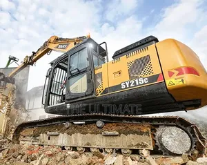 Sany Excavator for Sale (All Type)