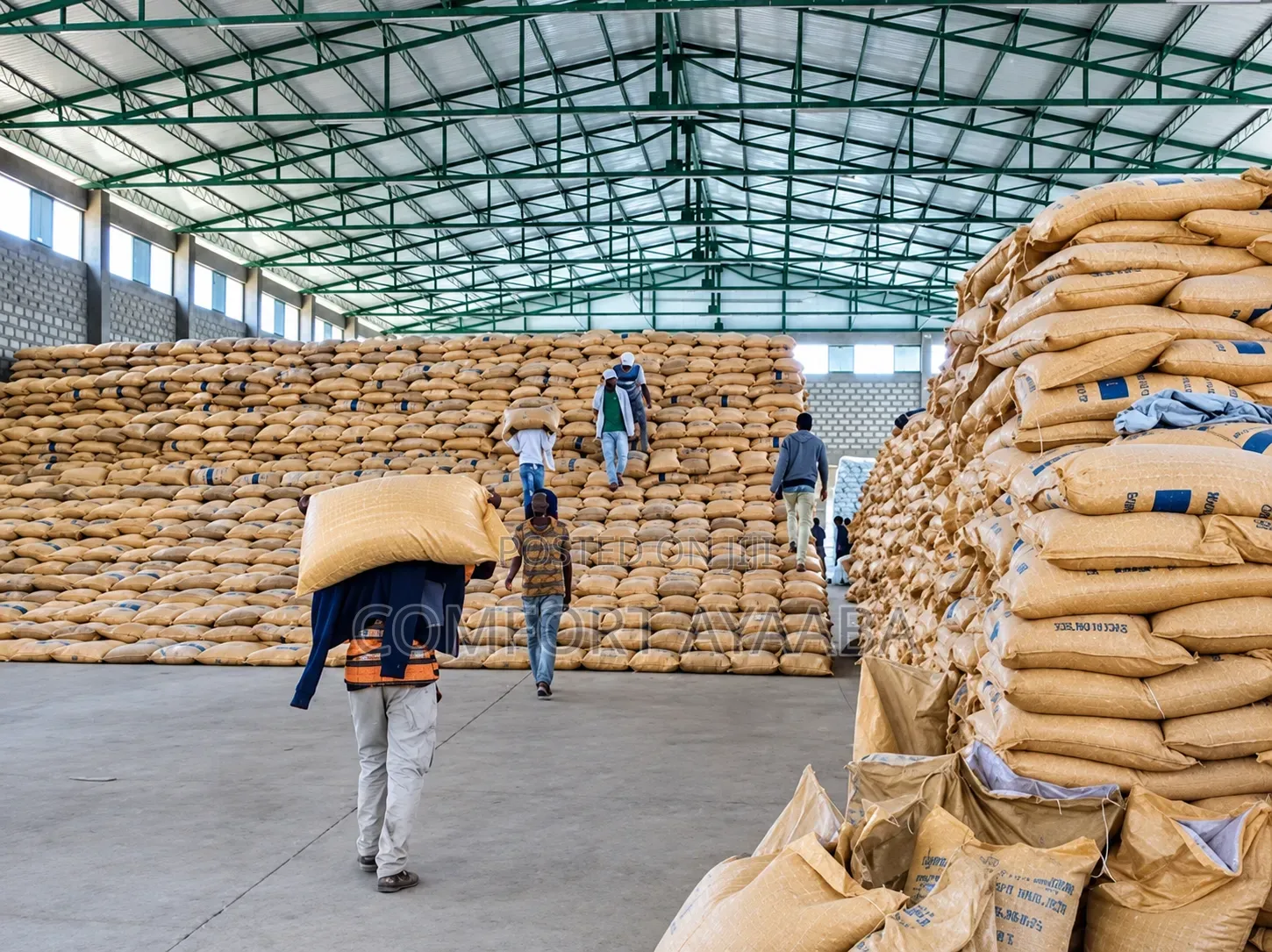 Distributors and Loaders Needed at Our Cocoa Factory