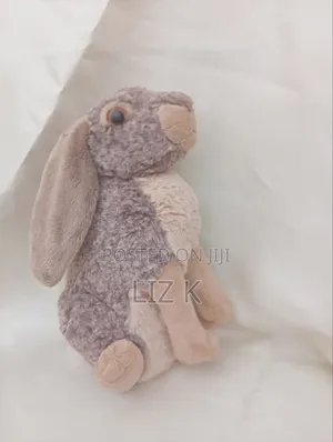 Teddies Soft Toys
