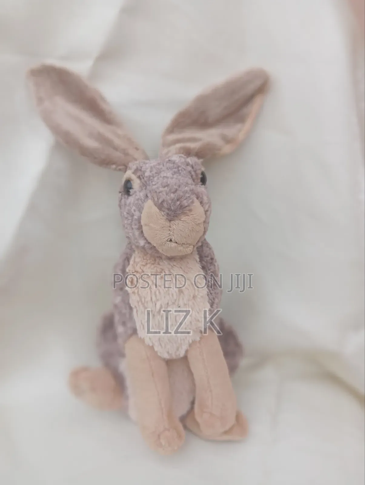 Teddies Soft Toys