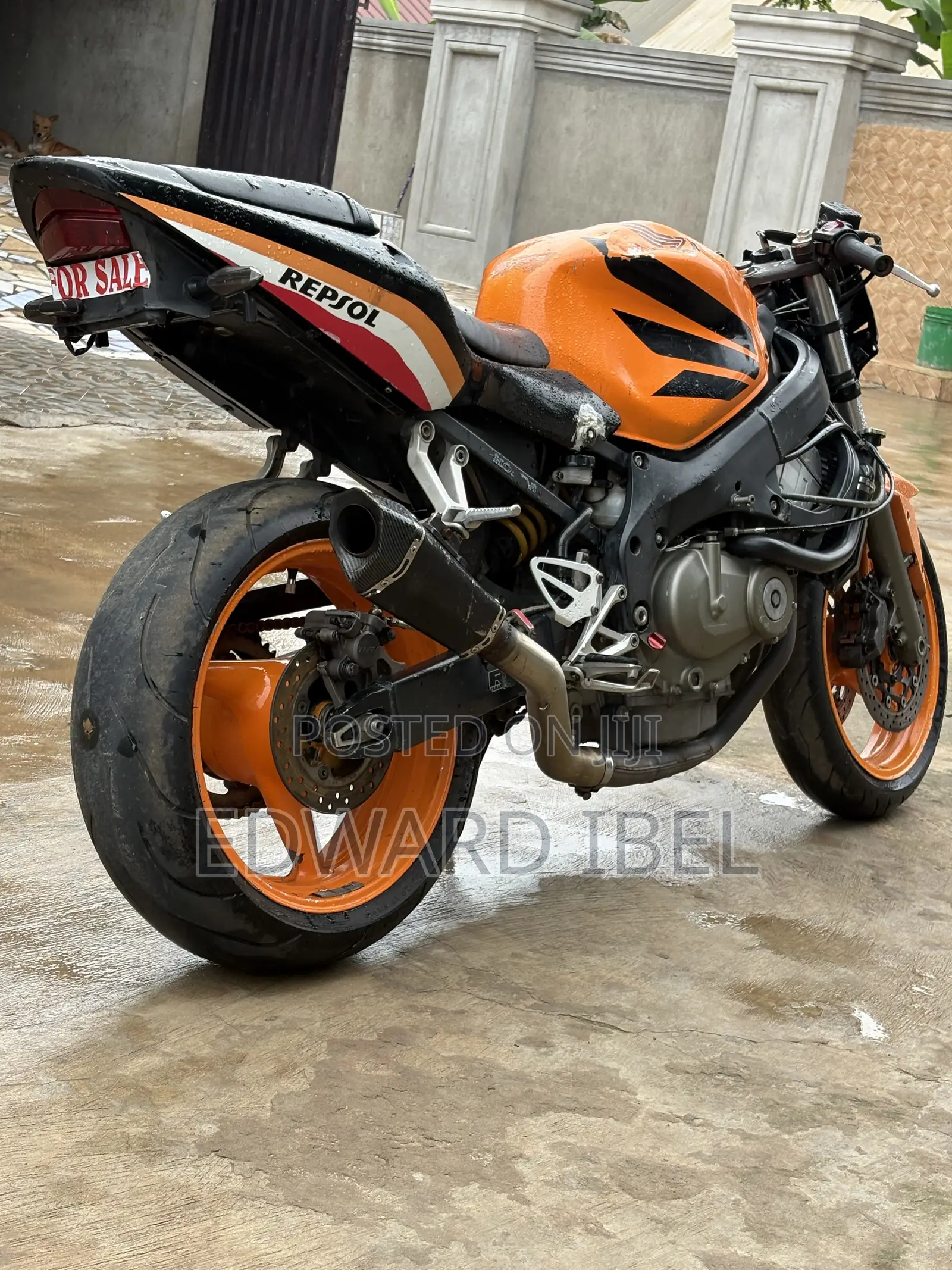Honda CBR 2024 Orange