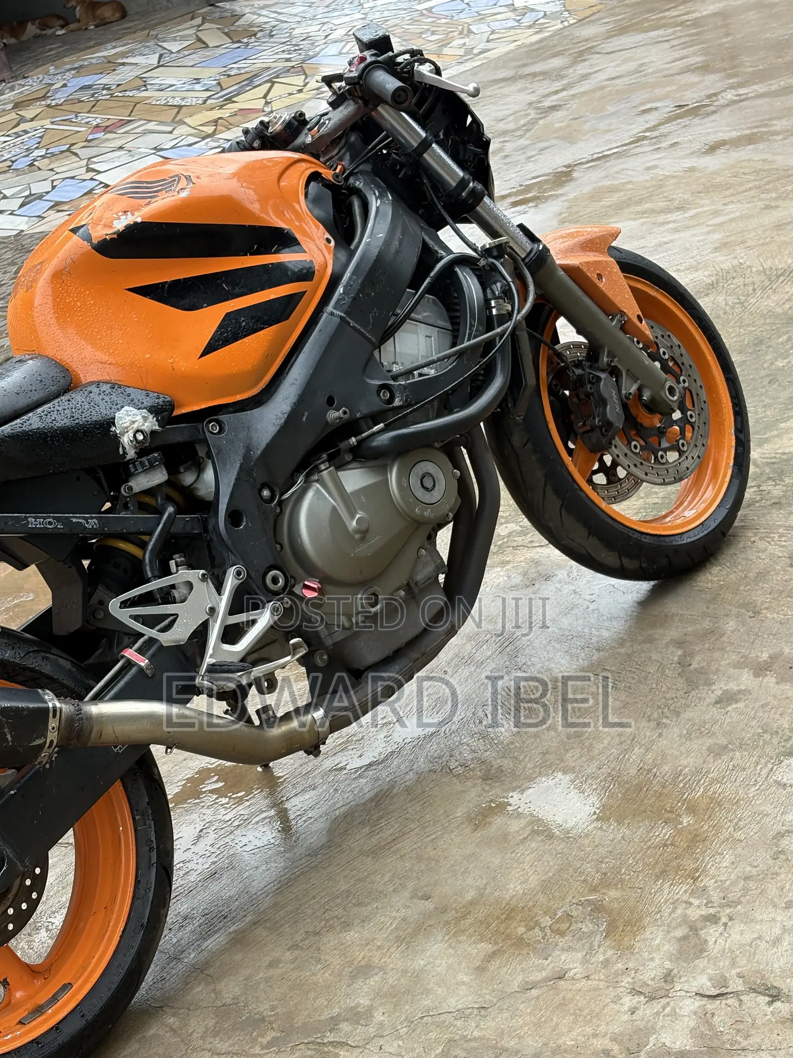 Honda CBR 2024 Orange