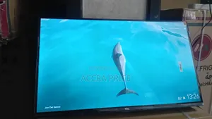 Version Surf Televisions, Self Branding 32inches TCL Television