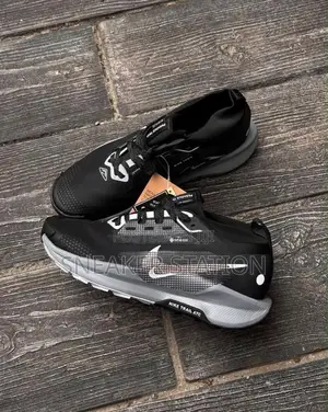 Nike Pegasus Trail 5 Available