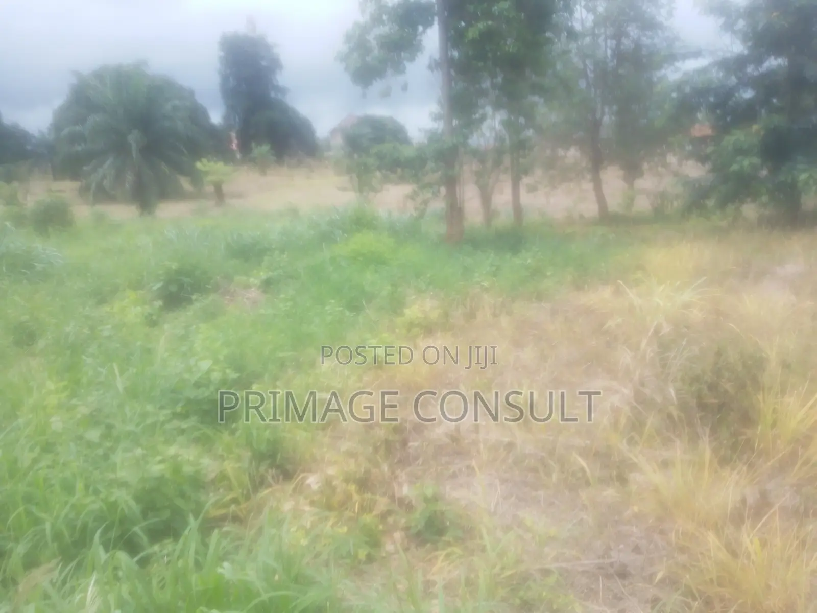 12 Acres of Land in Sunyani Dumasua for Sale