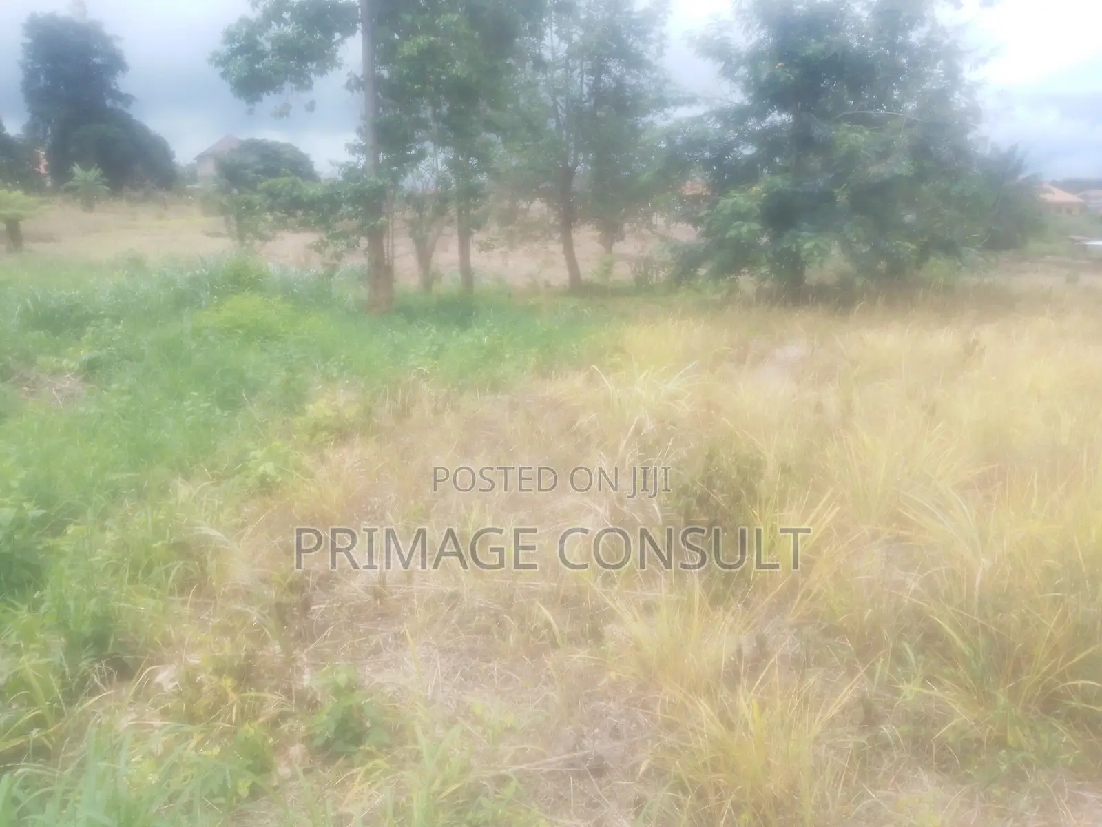 12 Acres of Land in Sunyani Dumasua for Sale