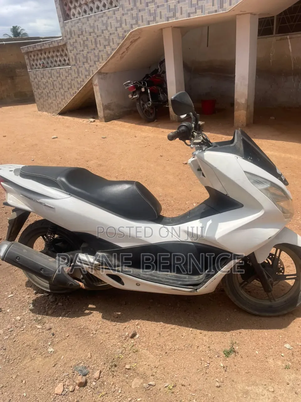 Honda 2022 White