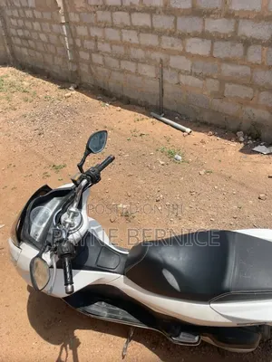 Honda 2022 White