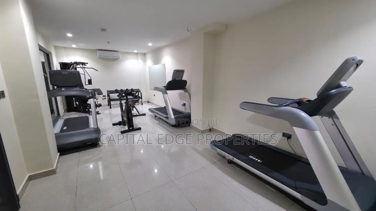 Furnished 2bdrm Apartment in Labone for rent