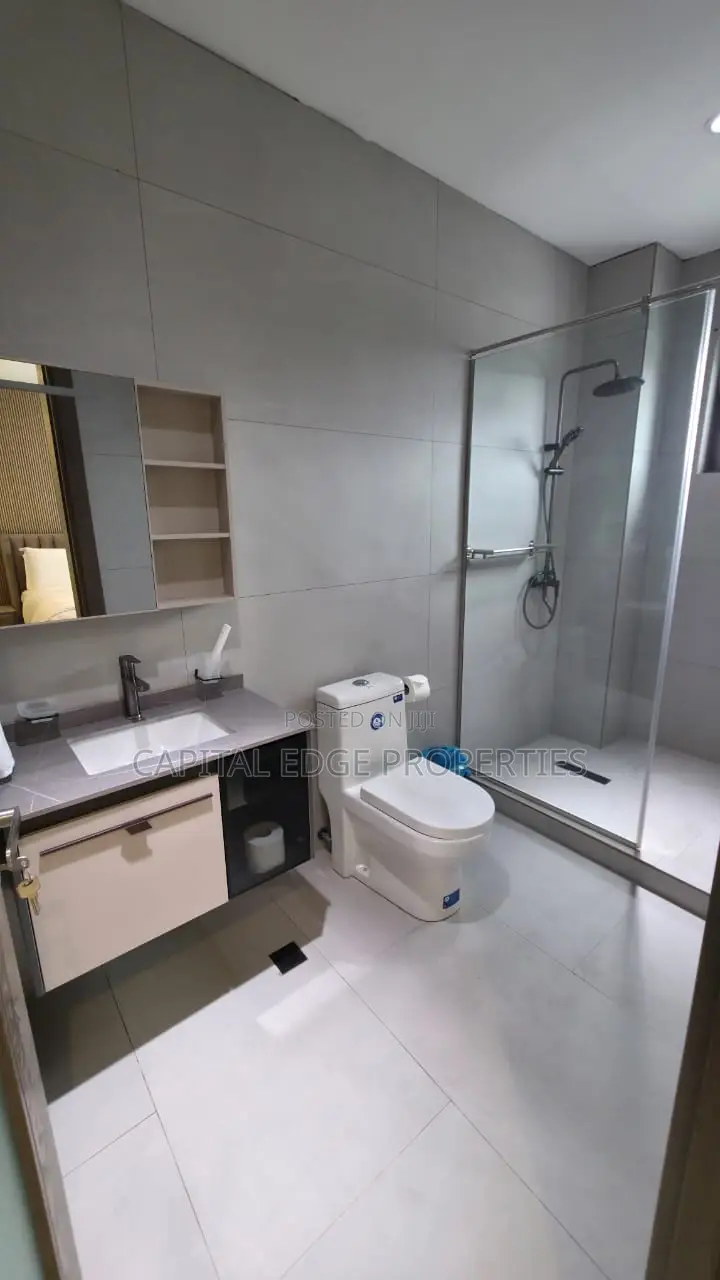 Furnished 3bdrm Apartment in Labone for rent