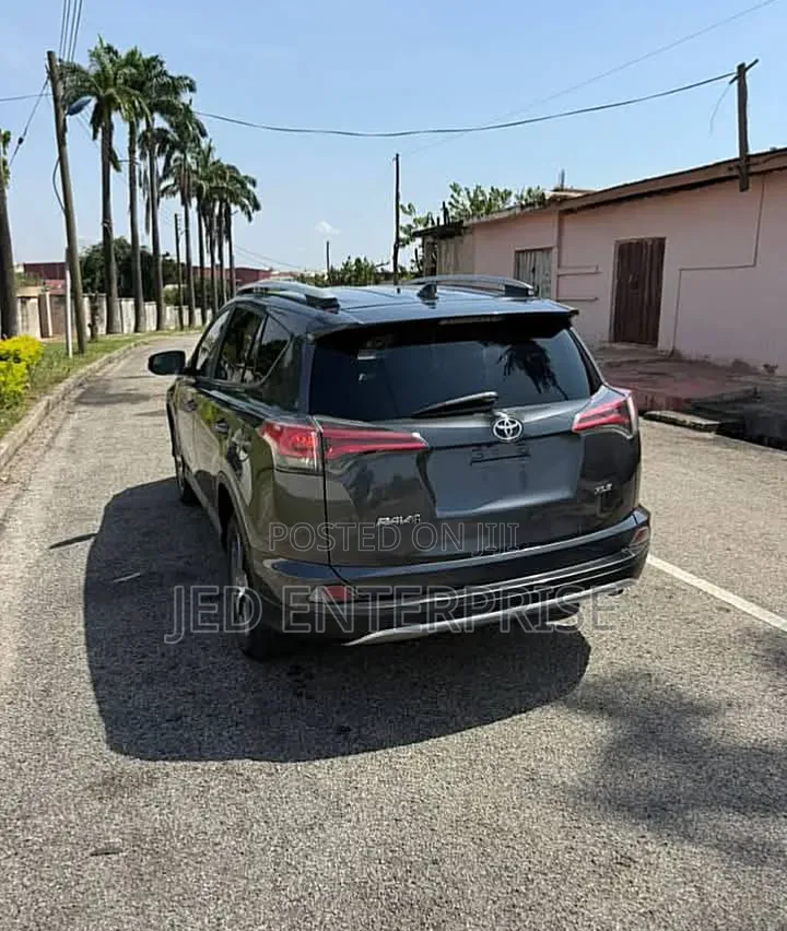 Toyota RAV4 XLE 4dr SUV (2.5L 4cyl 6A) 2018 Gray