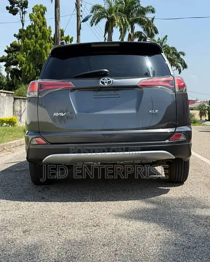 Toyota RAV4 XLE 4dr SUV (2.5L 4cyl 6A) 2018 Gray