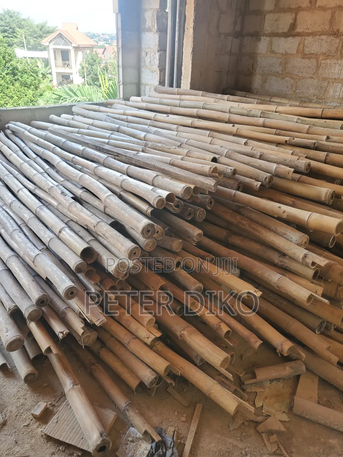 Bamboo for Construction