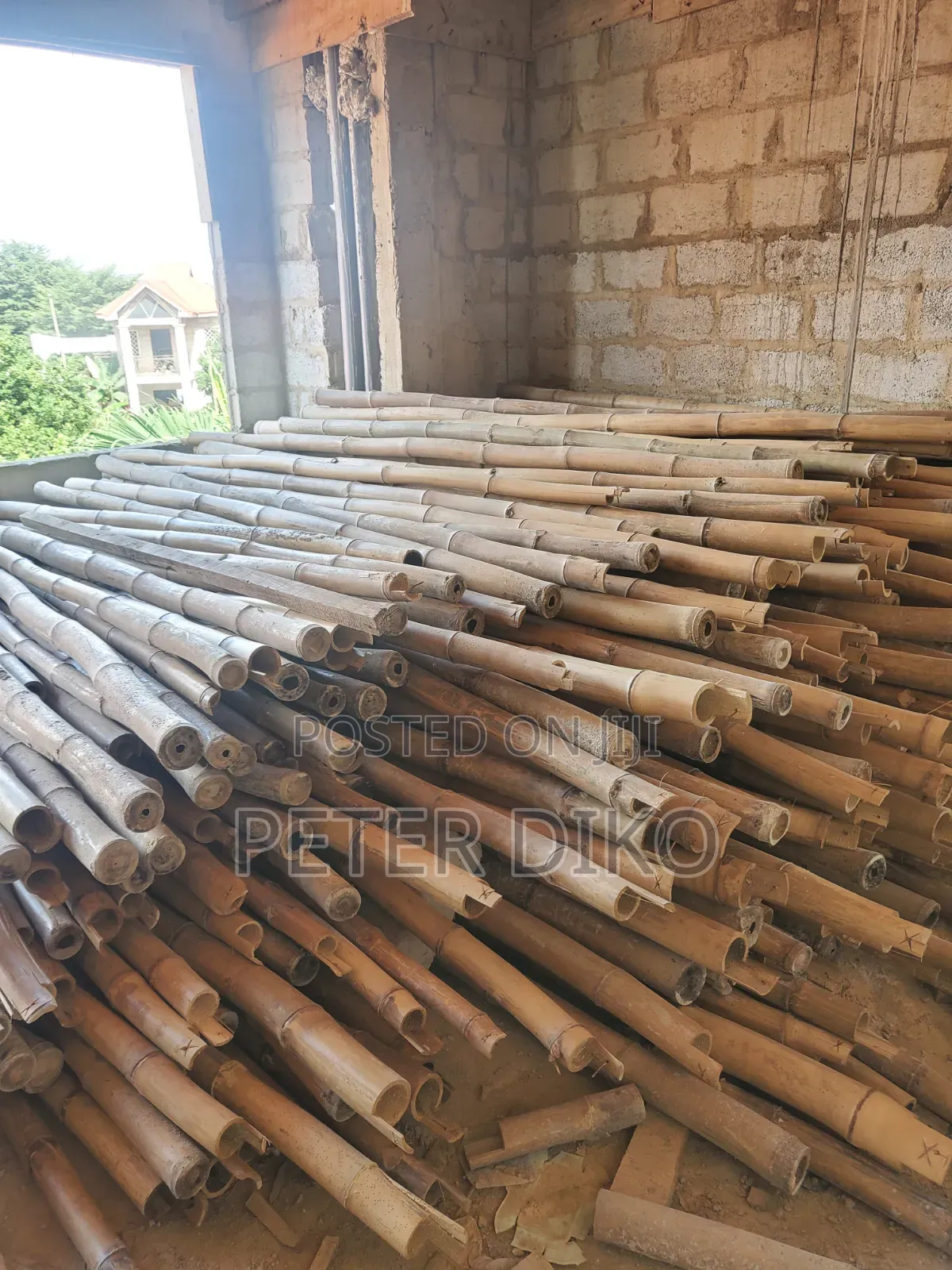 Bamboo for Construction