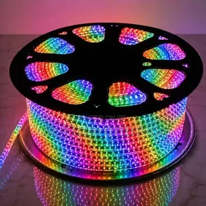 XDBV50meters Muiti Color Rope Light