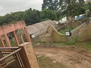 Greenhouse for Sale ( Used Greenhouse)