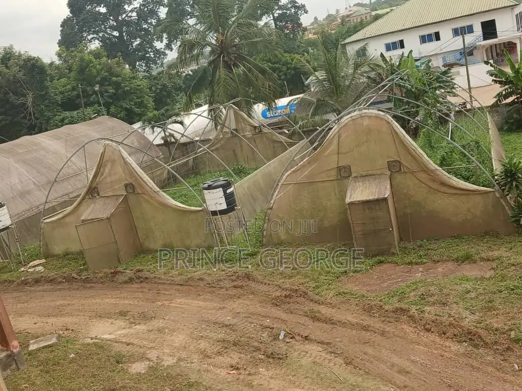 Greenhouse for Sale ( Used Greenhouse)