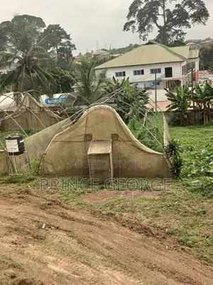 Greenhouse for Sale ( Used Greenhouse)