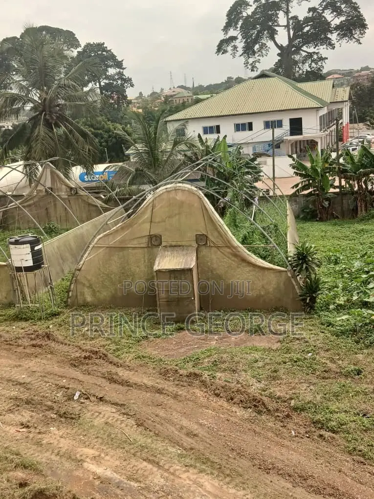 Greenhouse for Sale ( Used Greenhouse)