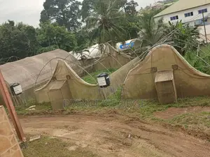 Greenhouse for Sale ( Used Greenhouse)
