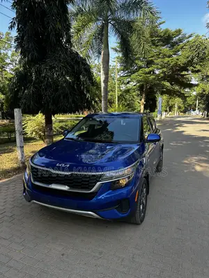 Kia Seltos LX 2022 Blue