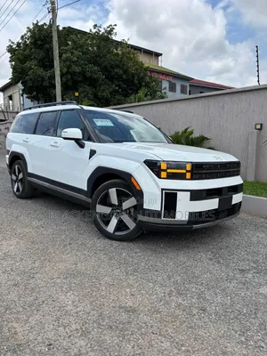 Hyundai Santa Fe Limited 2024 White
