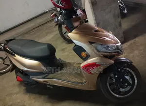 Motorcycle 2024 Gold