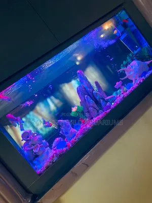 Double View Wall Unit Aquarium