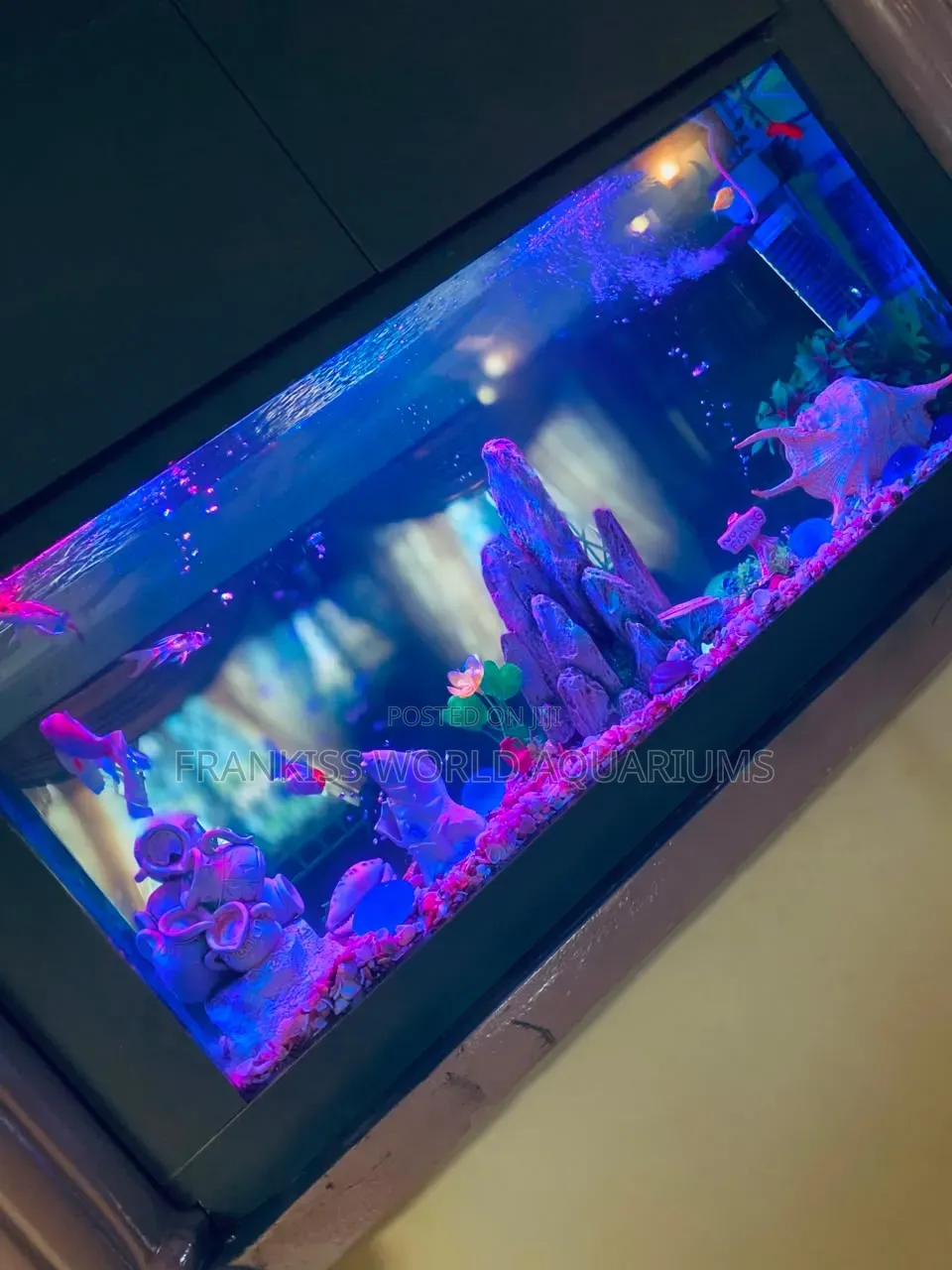 Double View Wall Unit Aquarium