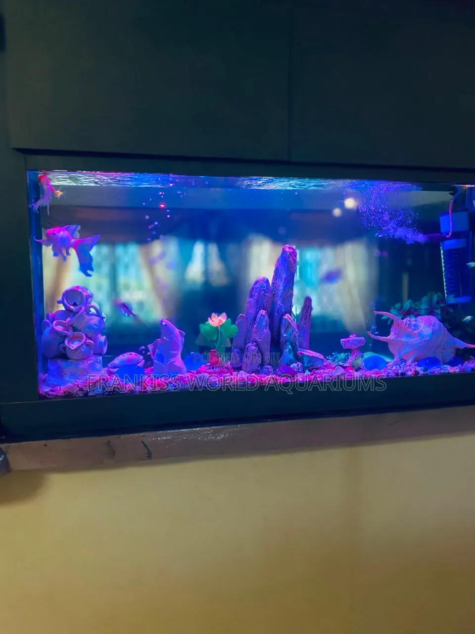 Double View Wall Unit Aquarium
