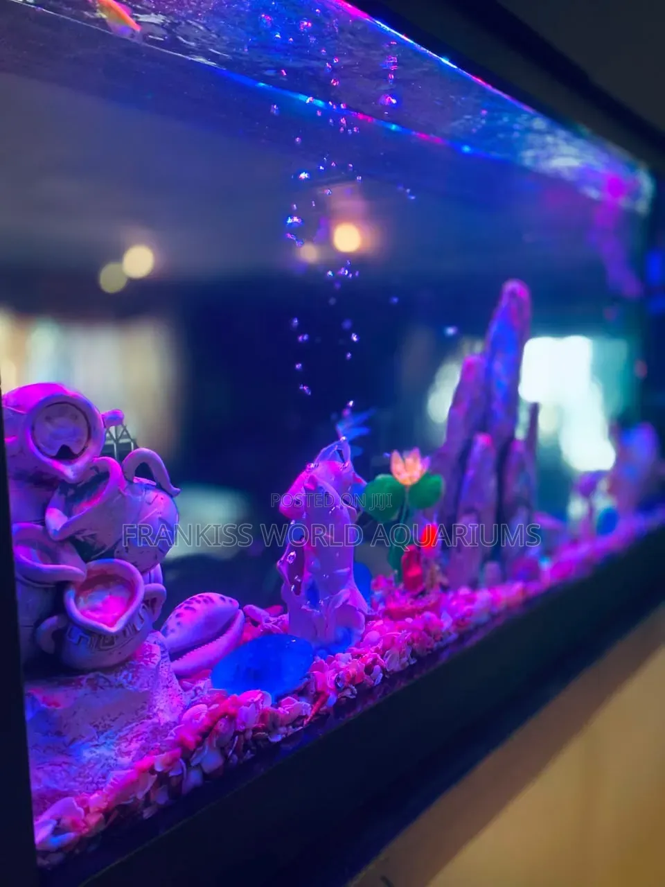 Double View Wall Unit Aquarium