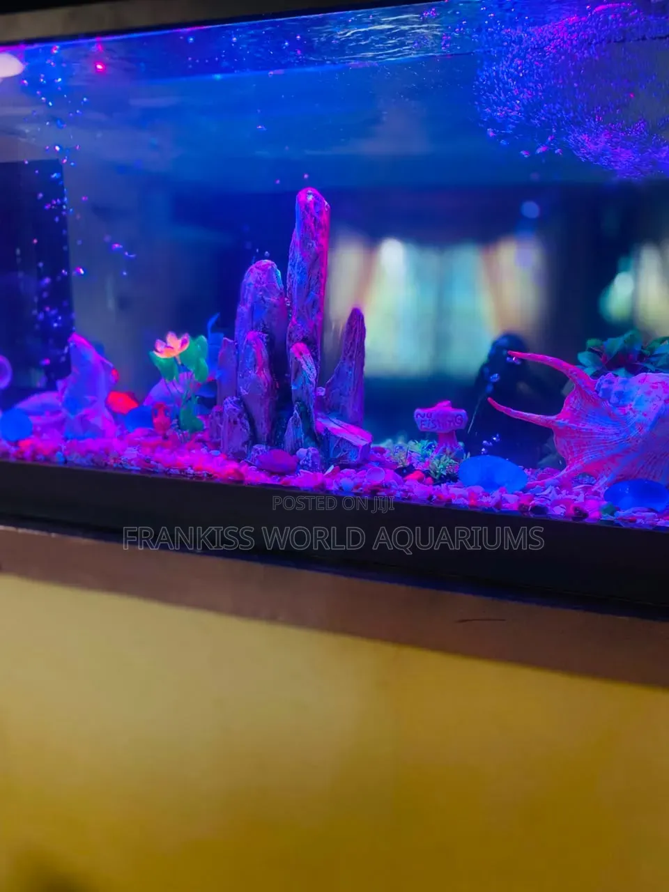 Double View Wall Unit Aquarium