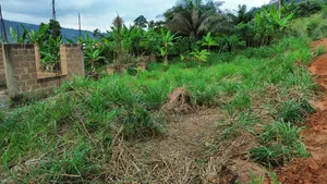 2bdrm House in Koforidua Bornya, New-Juaben Municipal for sale