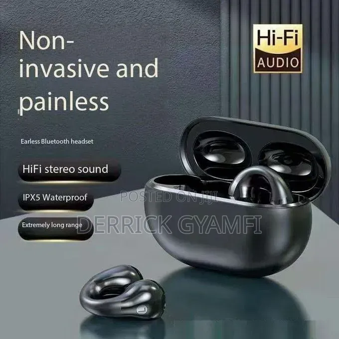 True Wireless Stereo Earphones