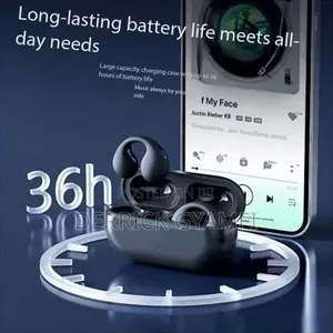 True Wireless Stereo Earphones