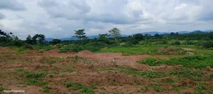 Plots of Land for Sale at Koforidua Akwadum-Mpaem