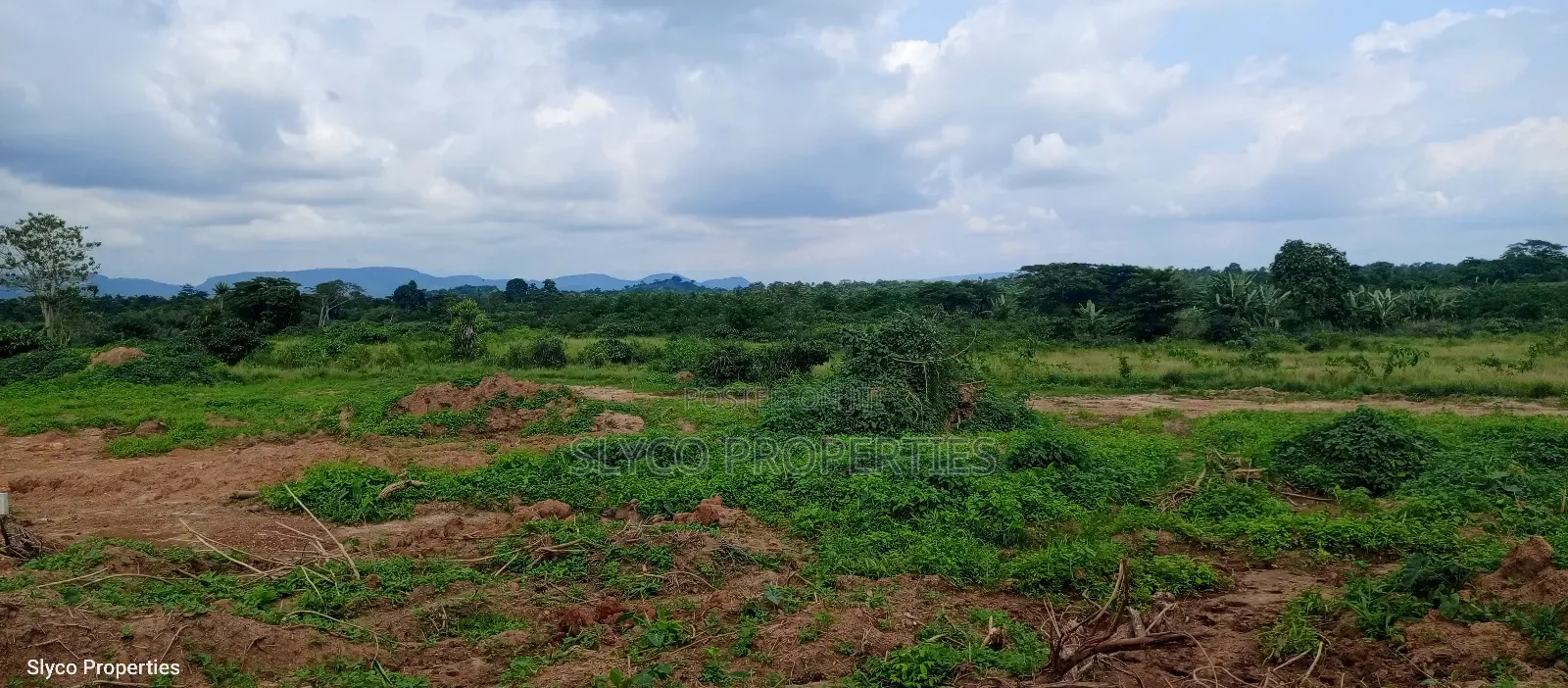 Plots of Land for Sale at Koforidua Akwadum-Mpaem